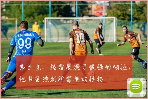 弗兰克：格雷展现了很强的韧性，他具备热刺所需要的性格