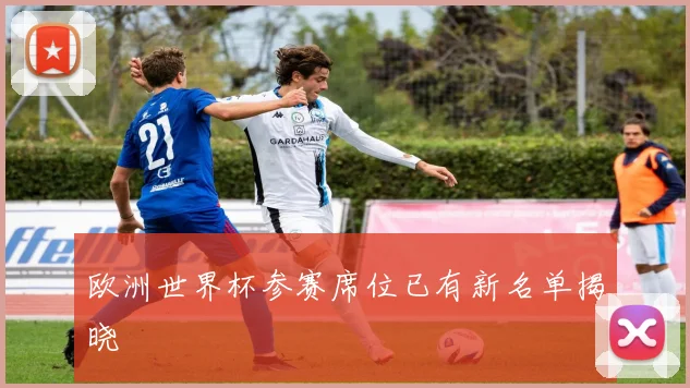 欧洲世界杯参赛席位已有新名单揭晓