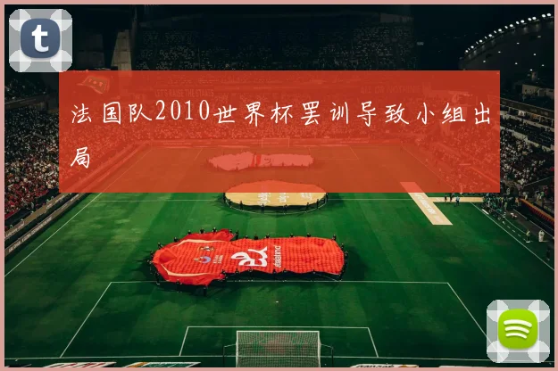 法国队2010世界杯罢训导致小组出局