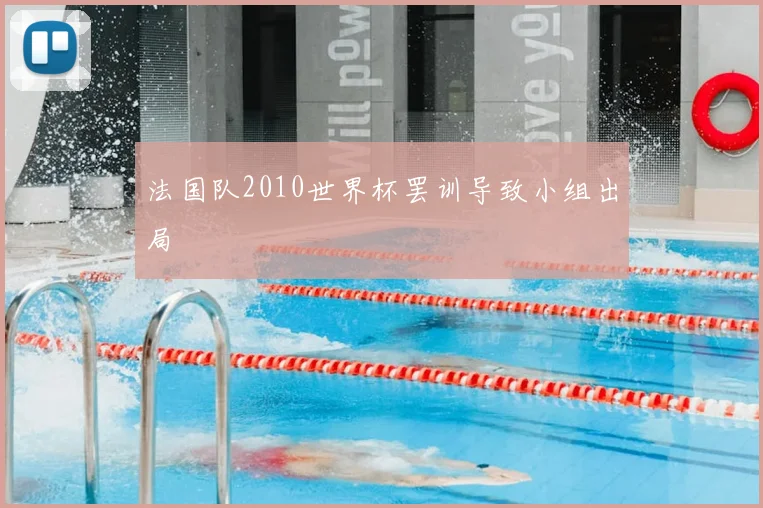 法国队2010世界杯罢训导致小组出局