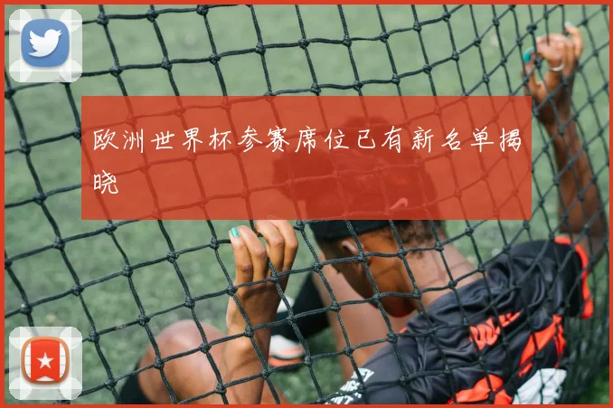 欧洲世界杯参赛席位已有新名单揭晓
