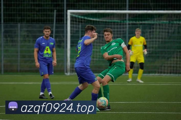 开云 - Kaiyun(体育中国)官方网站发展历程