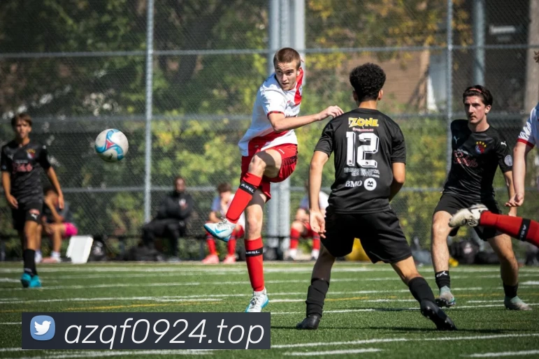 开云 - Kaiyun(体育中国)官方网站APP 封面图