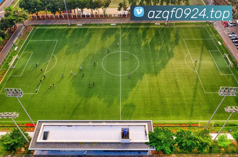 数据防护可视化